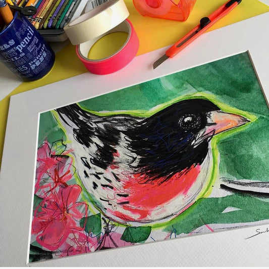 Rose Breasted Grosbeak